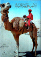 الابل العربية الاصيلة الابل العربية الاصيلة
