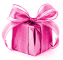 Cadeau Rose